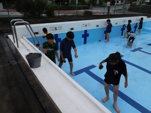 だいぷーるそうじ